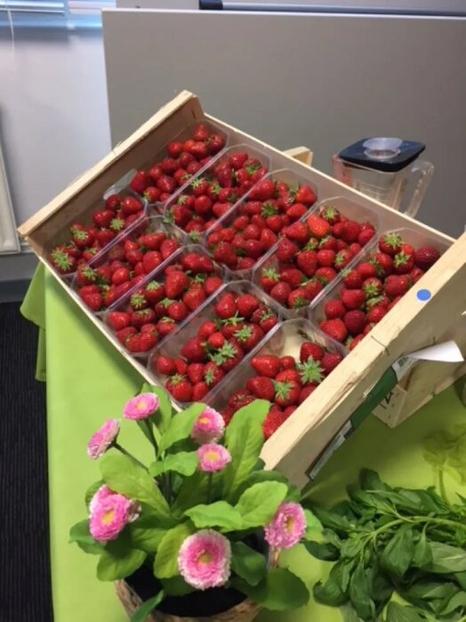 In 2018’s Sustainable Development Week, Sofrecom organized a playful “Pedal & Sip” event with a smoothie bike to promote eco-awareness.